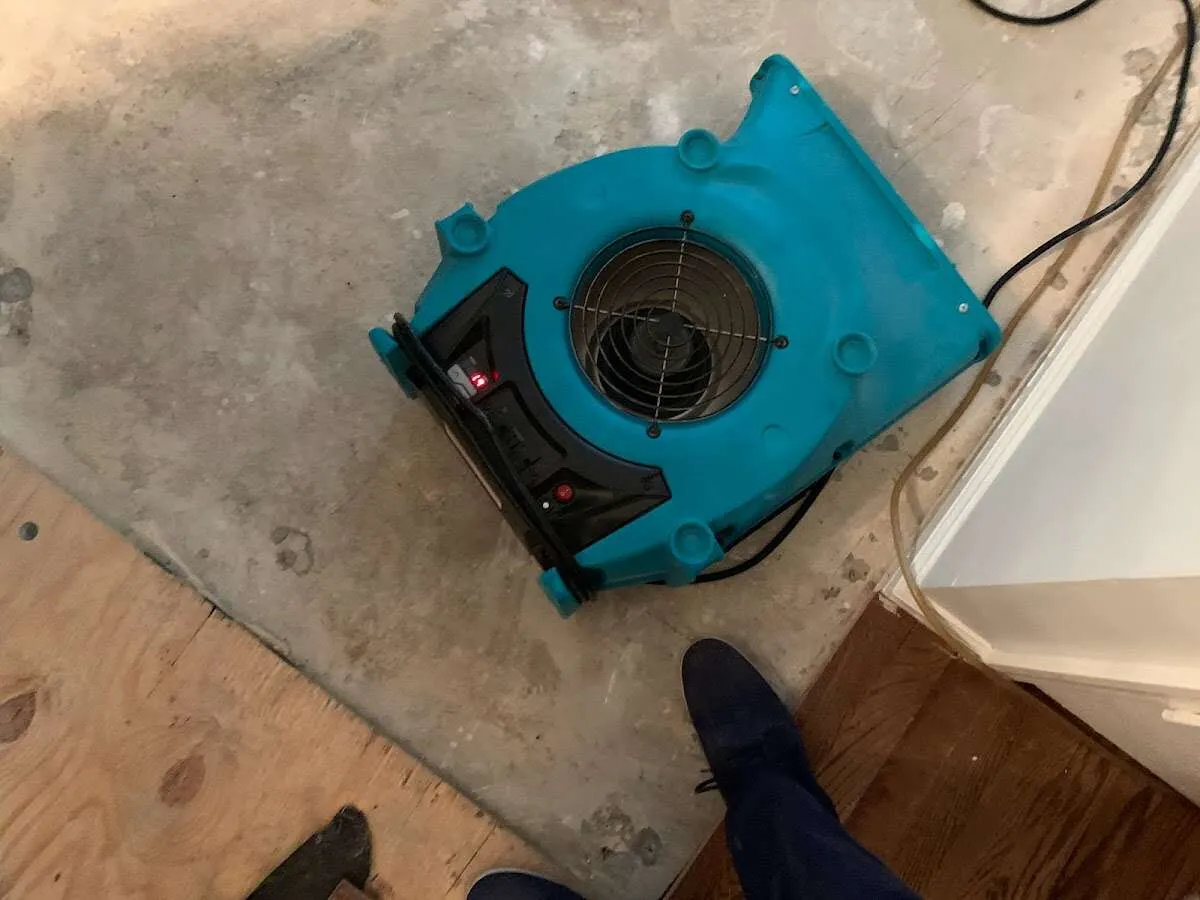 Air mover drying subfloor during Commercial Water Damage Restoration in New Port Richey