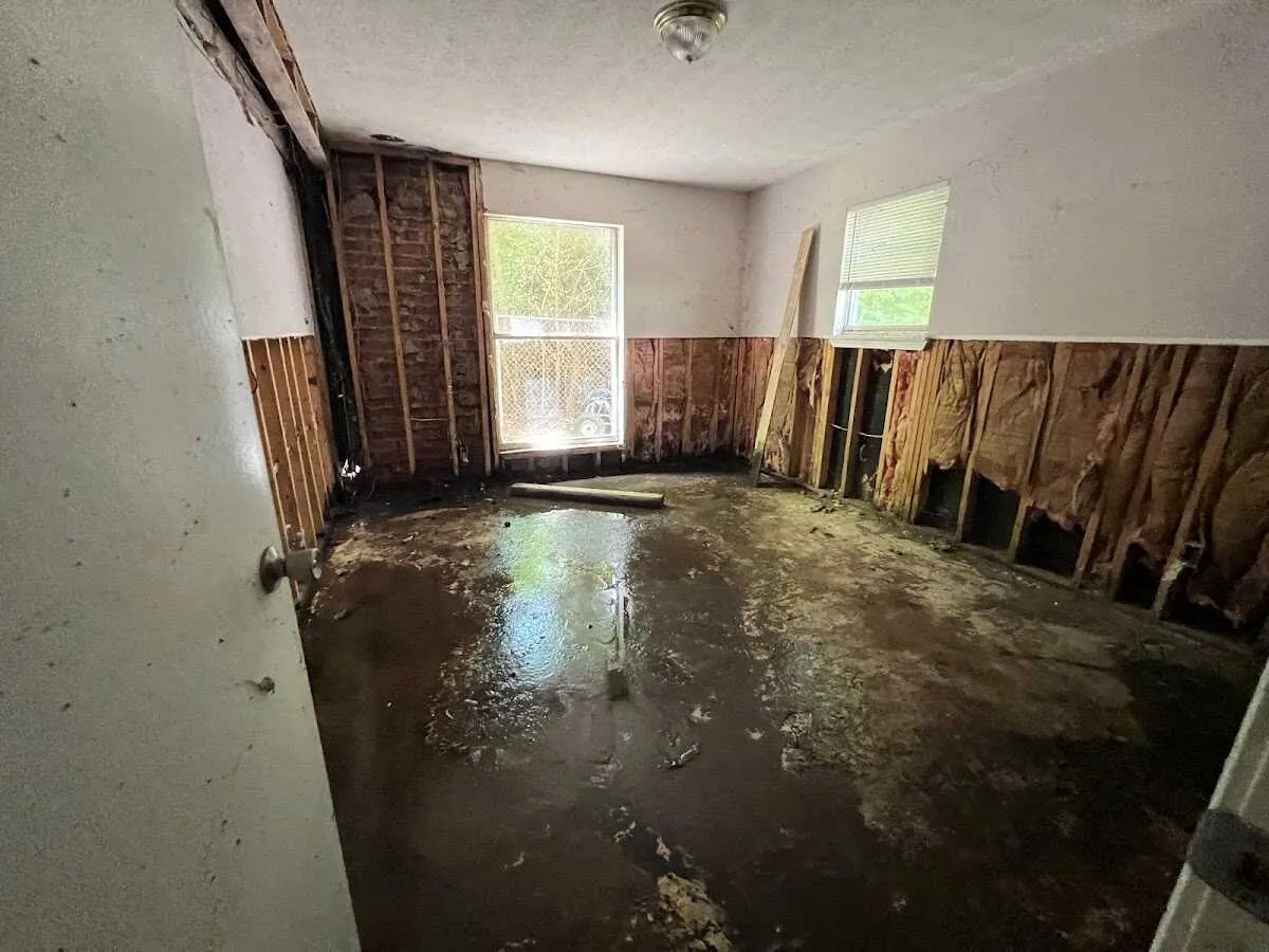 Water Damage Restoration services in New Port Richey, FL